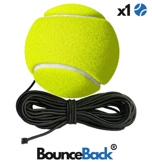 Pelota de recambio